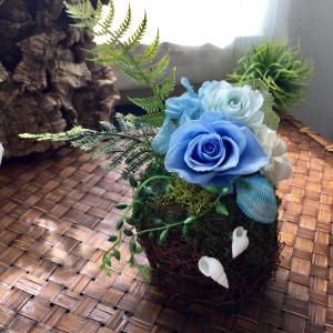 夏の苔玉アレンジ⭐︎