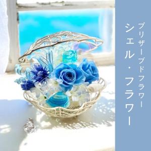 シェル・フラワー