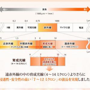 体内クリーンアップ『スマーティ』遠赤外線サウナ 60分 